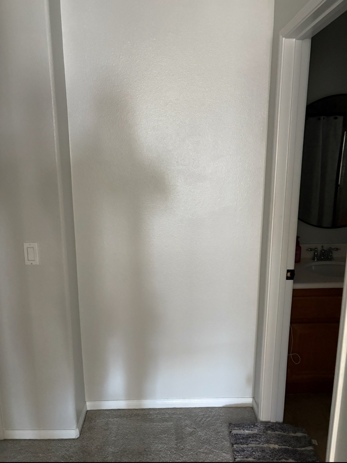 Hidden Door & Slat Accent Wall before